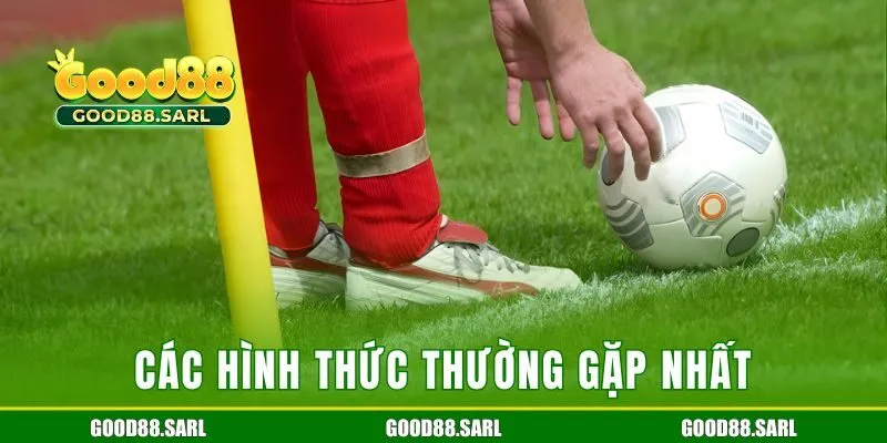 Các hình thức thường gặp nhất