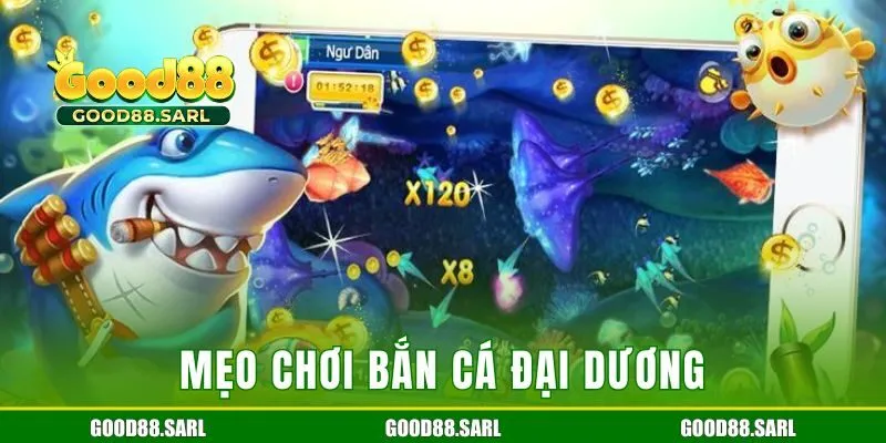 Mẹo chơi bắn cá đại dương săn thưởng khủng